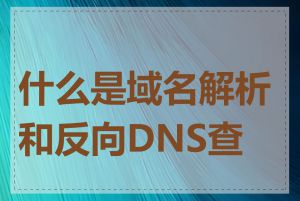 什么是域名解析和反向DNS查询