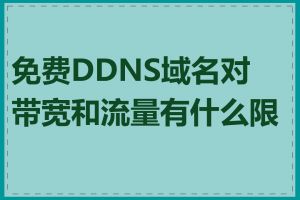 免费DDNS域名对带宽和流量有什么限制