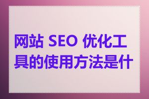 网站 SEO 优化工具的使用方法是什么