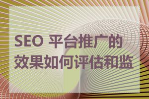 SEO 平台推广的效果如何评估和监控