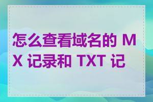 怎么查看域名的 MX 记录和 TXT 记录