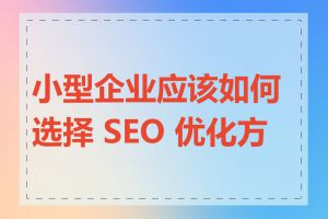 小型企业应该如何选择 SEO 优化方案
