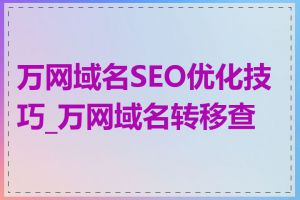 万网域名SEO优化技巧_万网域名转移查询