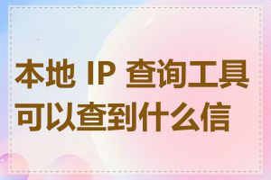 本地 IP 查询工具可以查到什么信息