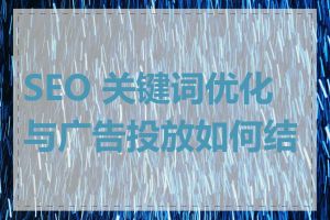 SEO 关键词优化与广告投放如何结合