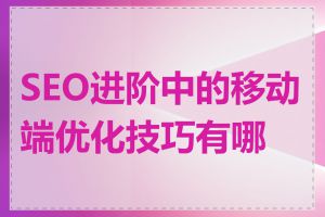 SEO进阶中的移动端优化技巧有哪些