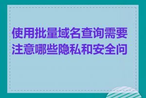 使用批量域名查询需要注意哪些隐私和安全问题