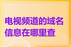 电视频道的域名信息在哪里查询