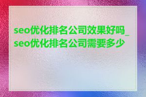 seo优化排名公司效果好吗_seo优化排名公司需要多少钱