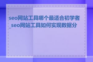 seo网站工具哪个最适合初学者_seo网站工具如何实现数据分析