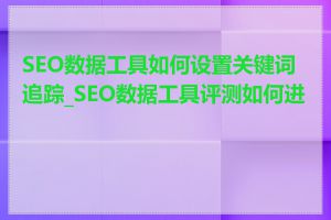 SEO数据工具如何设置关键词追踪_SEO数据工具评测如何进行