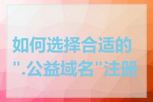如何选择合适的".公益域名"注册商