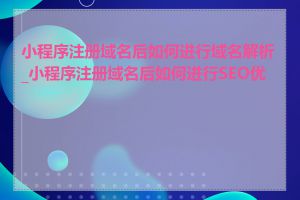 小程序注册域名后如何进行域名解析_小程序注册域名后如何进行SEO优化
