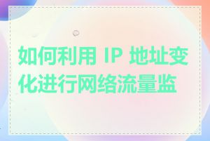 如何利用 IP 地址变化进行网络流量监控