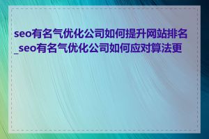 seo有名气优化公司如何提升网站排名_seo有名气优化公司如何应对算法更新
