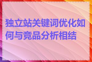 独立站关键词优化如何与竞品分析相结合