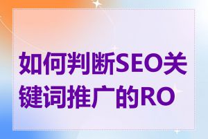 如何判断SEO关键词推广的ROI
