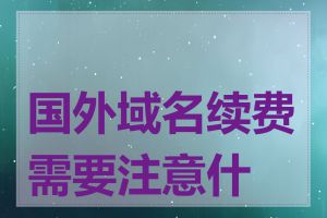 国外域名续费需要注意什么