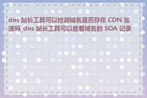 dns 站长工具可以检测域名是否存在 CDN 加速吗_dns 站长工具可以查看域名的 SOA 记录吗