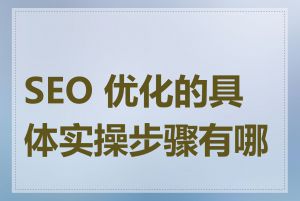 SEO 优化的具体实操步骤有哪些