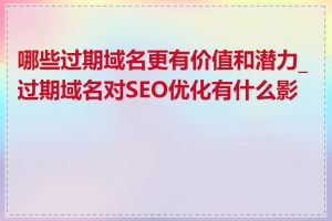 哪些过期域名更有价值和潜力_过期域名对SEO优化有什么影响