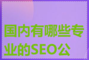 国内有哪些专业的SEO公司