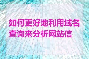 如何更好地利用域名查询来分析网站信息