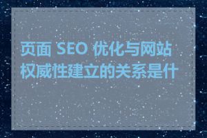 页面 SEO 优化与网站权威性建立的关系是什么