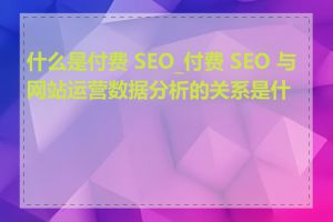 什么是付费 SEO_付费 SEO 与网站运营数据分析的关系是什么
