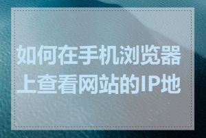 如何在手机浏览器上查看网站的IP地址