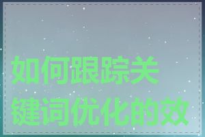 如何跟踪关键词优化的效果