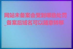 网站未备案会受到哪些处罚_备案后域名可以随意转移吗