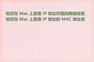 如何在 Mac 上查看 IP 地址所属的网络信息_如何在 Mac 上查看 IP 地址的 MAC 地址信息