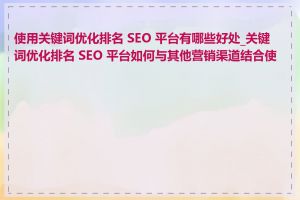 使用关键词优化排名 SEO 平台有哪些好处_关键词优化排名 SEO 平台如何与其他营销渠道结合使用