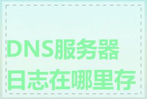 DNS服务器日志在哪里存储