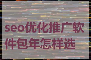 seo优化推广软件包年怎样选择