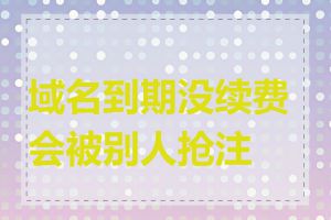 域名到期没续费会被别人抢注吗