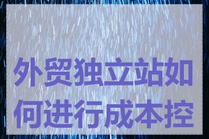外贸独立站如何进行成本控制