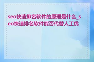 seo快速排名软件的原理是什么_seo快速排名软件能否代替人工优化