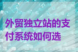 外贸独立站的支付系统如何选择