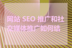 网站 SEO 推广和社交媒体推广如何结合