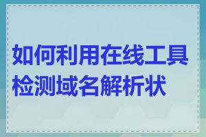 如何利用在线工具检测域名解析状态