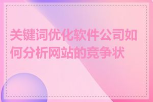 关键词优化软件公司如何分析网站的竞争状况