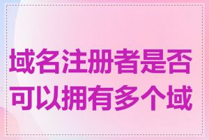 域名注册者是否可以拥有多个域名