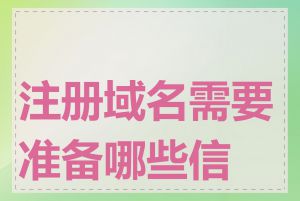 注册域名需要准备哪些信息