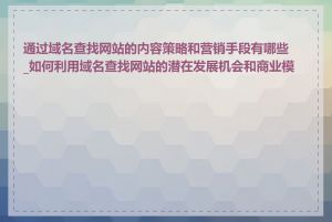 通过域名查找网站的内容策略和营销手段有哪些_如何利用域名查找网站的潜在发展机会和商业模式
