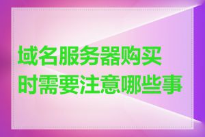 域名服务器购买时需要注意哪些事项