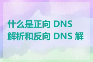 什么是正向 DNS 解析和反向 DNS 解析