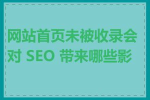网站首页未被收录会对 SEO 带来哪些影响