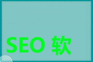 SEO 软件如何使用